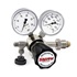 110-2009 Regulator