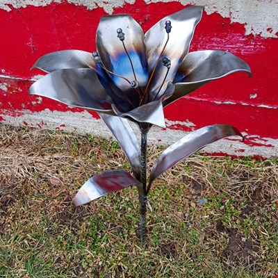 Raw Steel Lily
